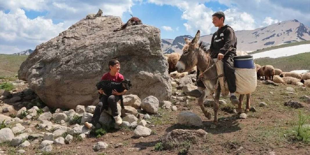Onlar doğal yaşıyor, doğaseverler akın ediyor! Berçelan Yaylası bu yazın gözdesi 6